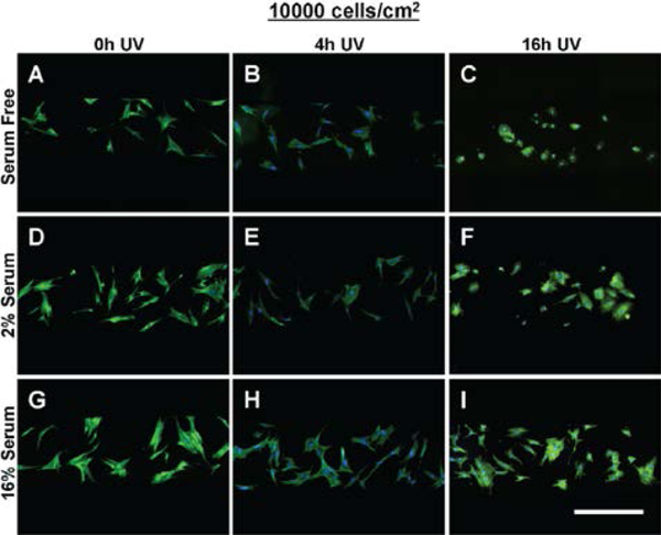 Figure 5: