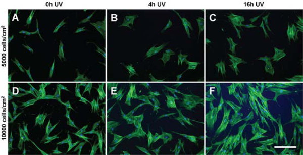 Figure 9: