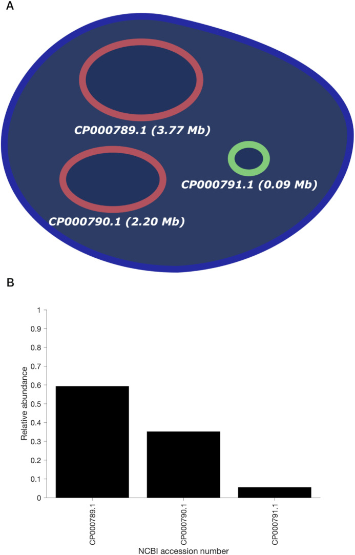 Figure 5.