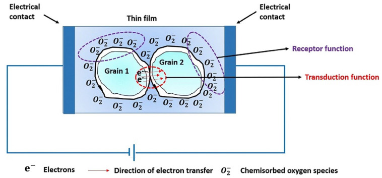 Figure 14