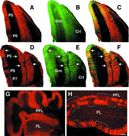 FIG. 3.