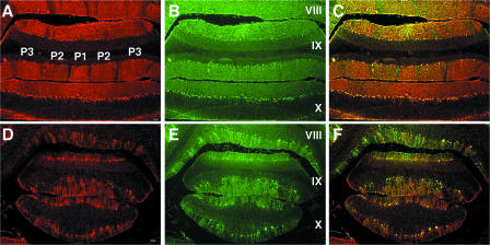 FIG. 4.