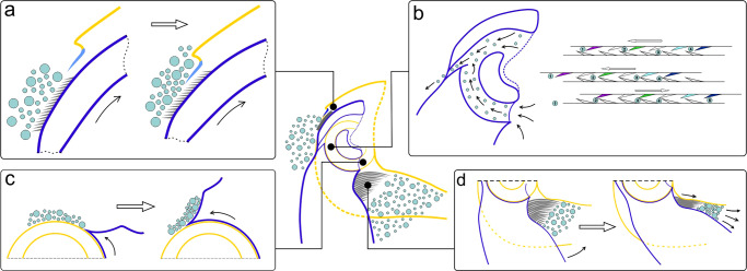 Fig. 6