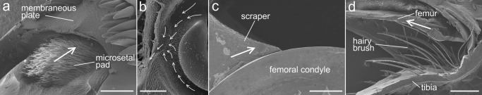 Fig. 5