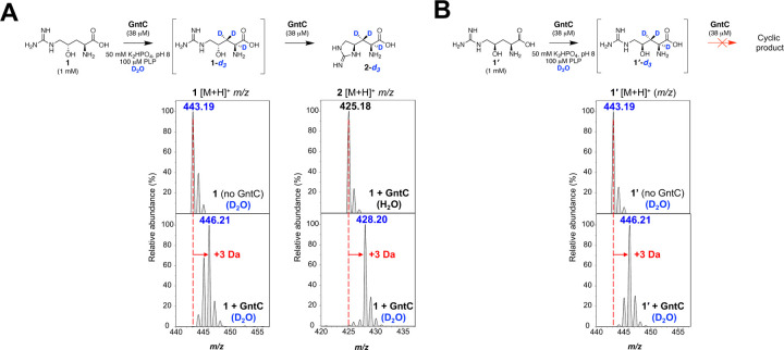 Figure 4: