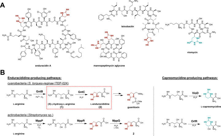 Figure 1: