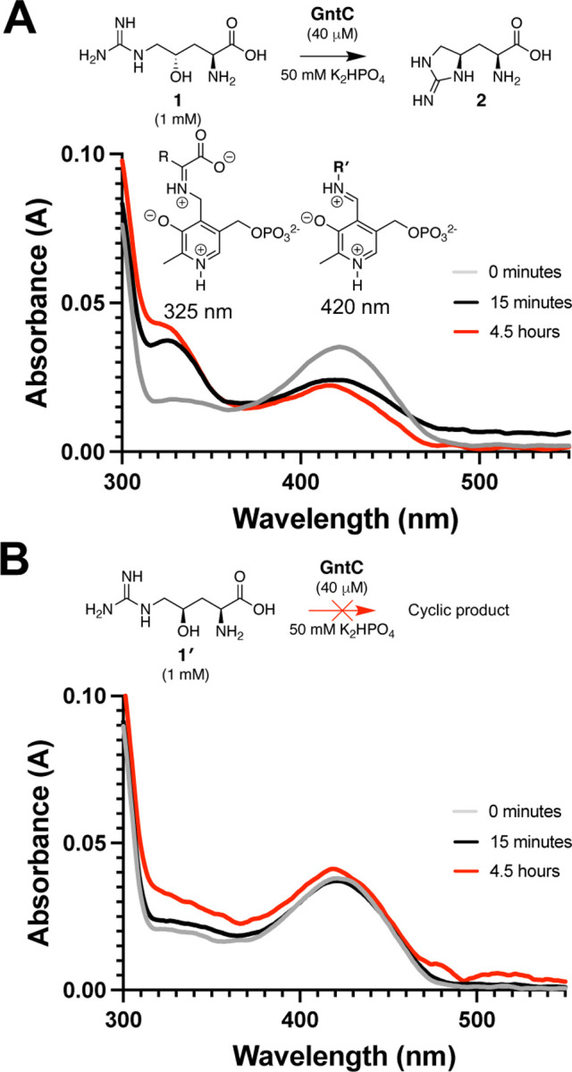 Figure 2: