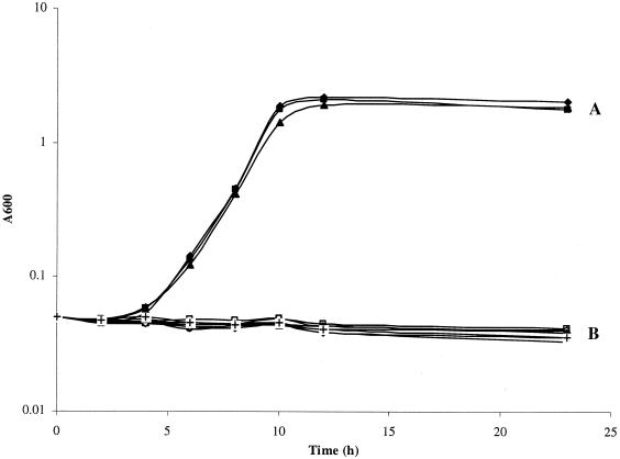 FIG. 5.