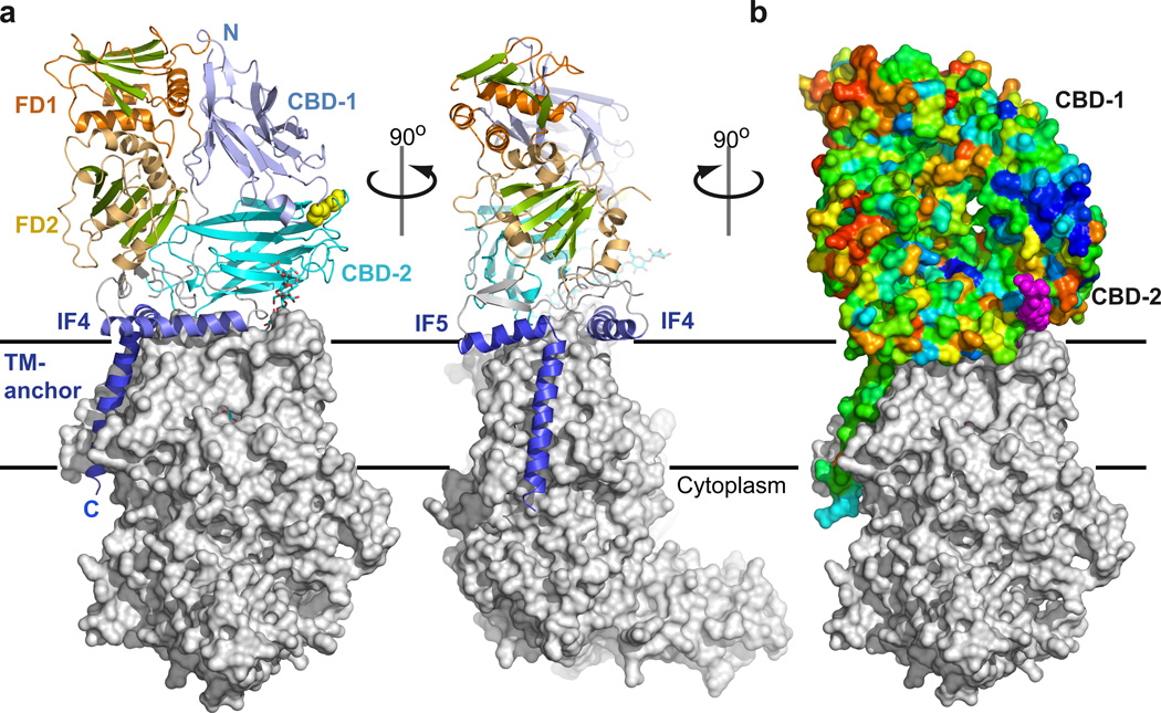 Figure 4