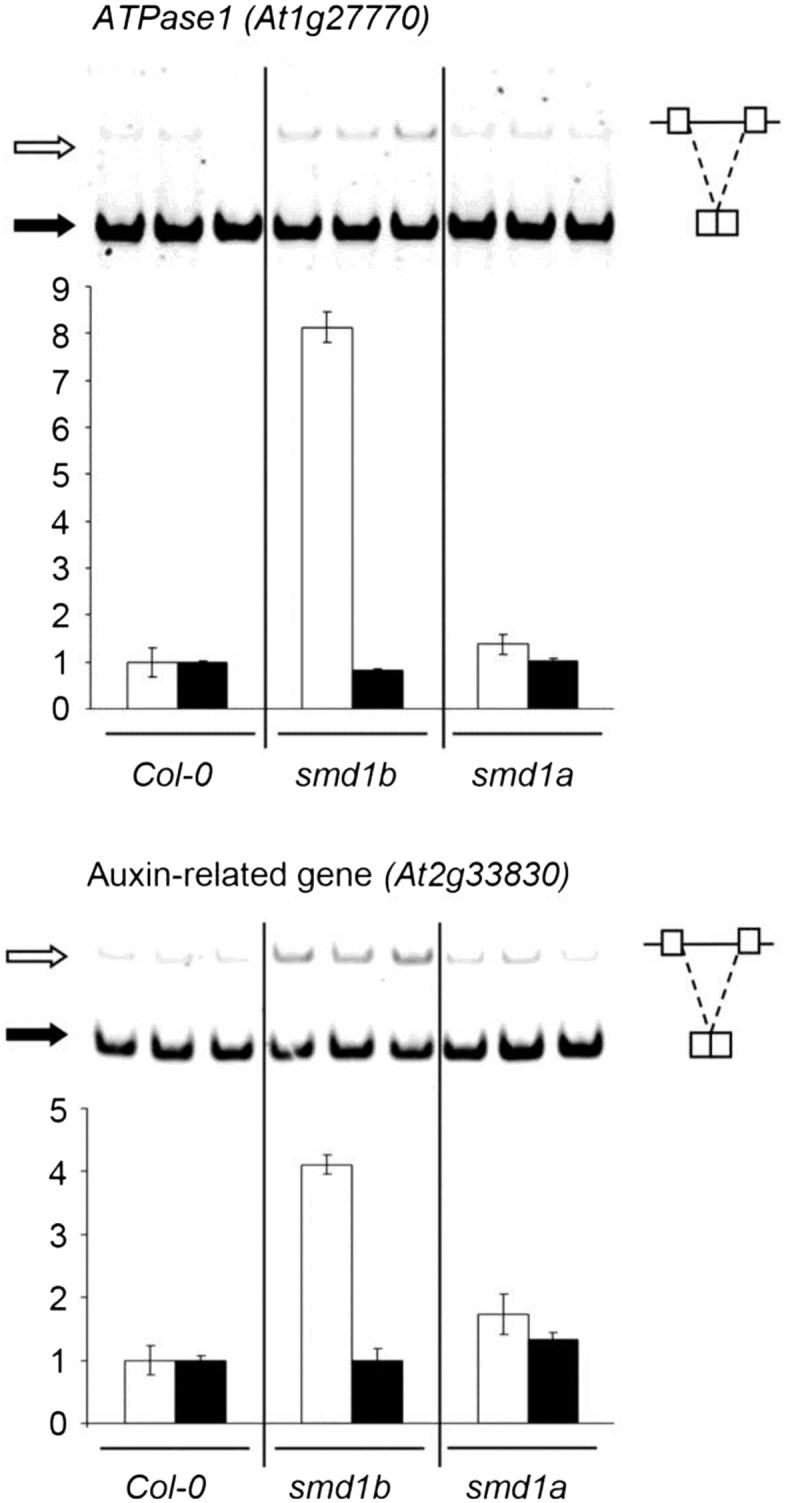 Figure 4.