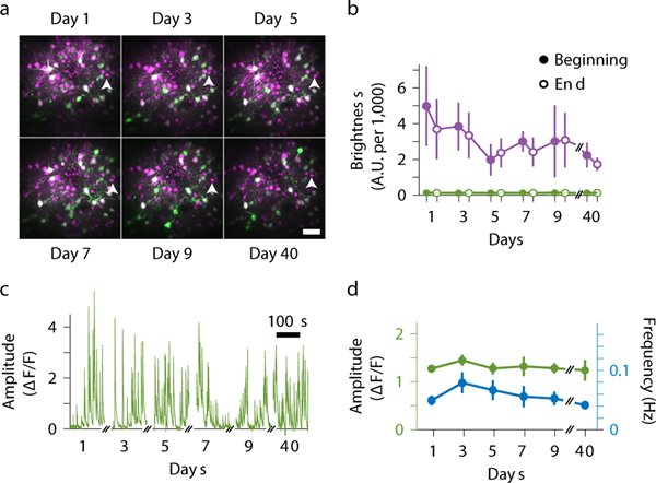 Figure 3: