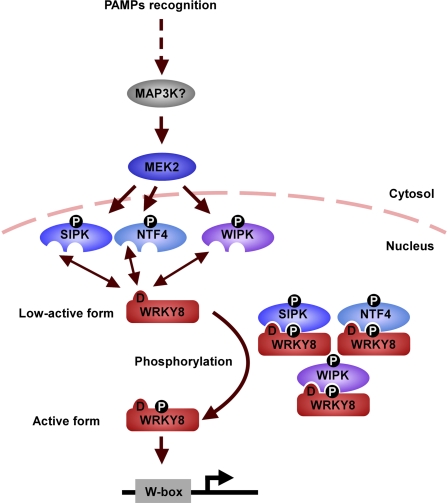 Figure 6.