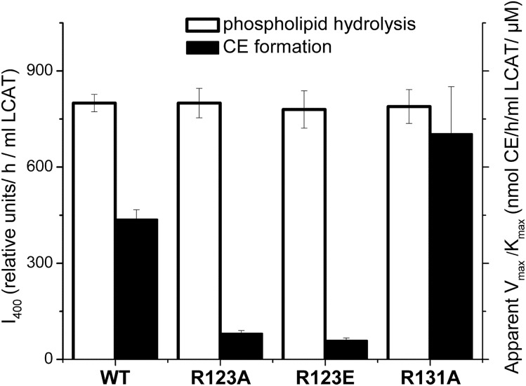 Fig. 4.