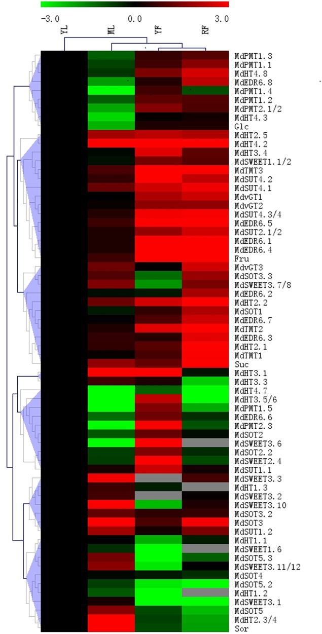 Figure 7