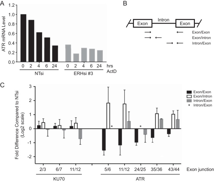 FIG 6