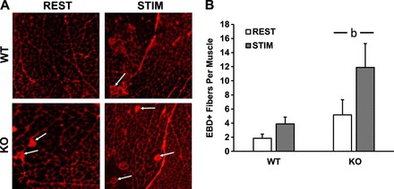 Fig. 6.