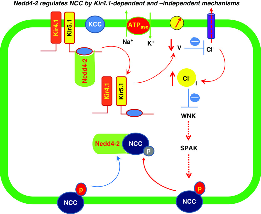 Figure 10.