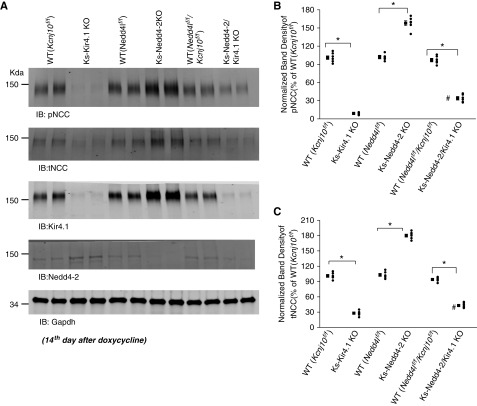 Figure 6.