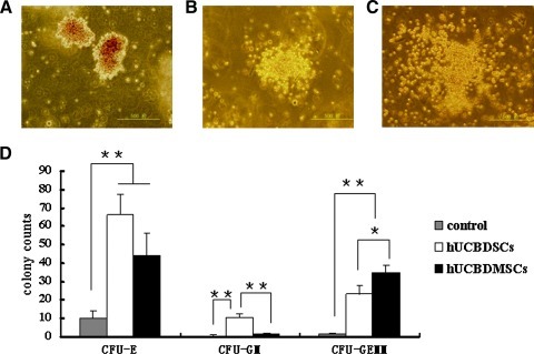 FIG. 7.