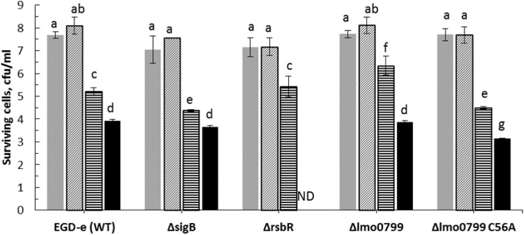 FIGURE 4