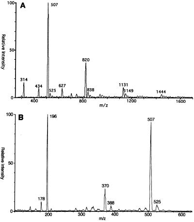 FIG. 5