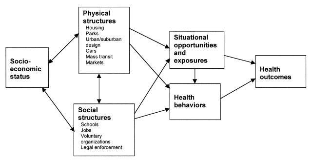 FIGURE 1—