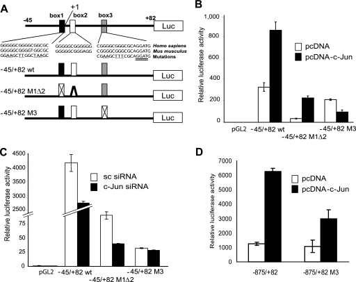 FIGURE 2.