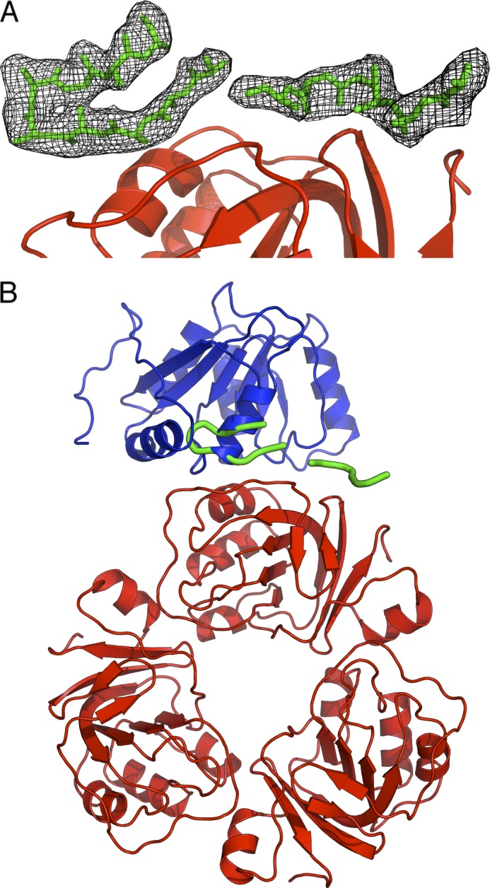 FIGURE 4.