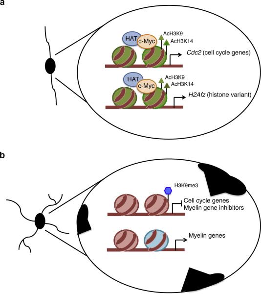 Figure 9