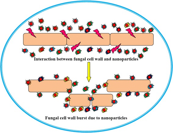 Fig. 6