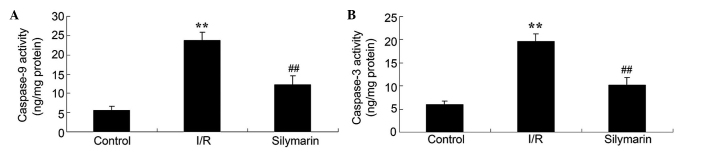 Figure 6.