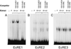 FIG. 9