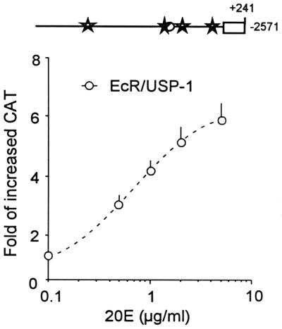 FIG. 7