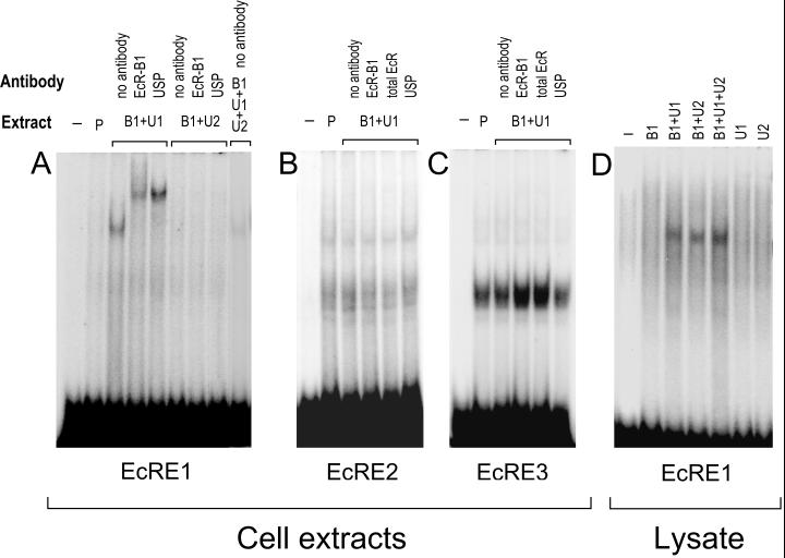 FIG. 8