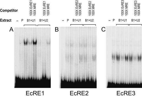 FIG. 9