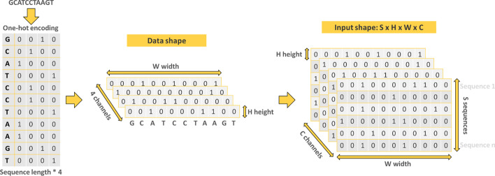 Fig. 12