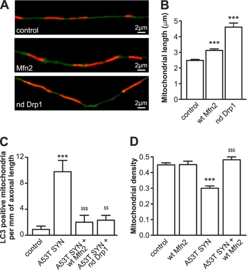 FIGURE 6.