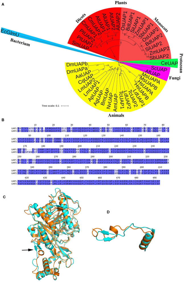 Figure 2