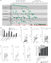 Figure 1. Signaling gene mutations are significantly enriched at secondary AML compared with MDS using paired samples. A, Heat map representation of predicted protein-altering mutations recurrent in myeloid malignancies among 44 secondary AML (sAML) samples detected using standard sequencing. Each column represents an individual patient and each row a gene, gene mutations are indicated by colored cells, and gene categories are on the left. Cytogenetic status is indicated in the bottom row. Mutations detected in Tyr kinase genes: EPHA10, TYK2, CSF1R; RAS pathway genes: NRAS, NF1, CBL, PTPN11, and PTPRN; Cohesin genes: SMC1A, SMC3, STAG2, RAD21. B, The percentage of unpaired MDS (white) or secondary AML (black) samples with a mutation in each functional gene category (categories defined in A with each gene assigned to only one category) detected using standard sequencing. C–H, Gene mutations identified in 44 secondary AML samples using standard sequencing were sequenced in the paired, antecedent 44 MDS samples using error-corrected sequencing. Each data point represents one mutation. Secondary AML mutations not detected at MDS are indicated by a red dot. I, Summary of the secondary AML mutations that were detected in MDS samples using error-corrected sequencing based on gene category. UPN, unique patient number. Fisher exact test; *, P < 0.05; ****, P < 0.0001.