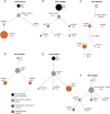 Figure 3. Single-cell DNA sequencing identifies the convergent clonal evolution of signaling gene mutations in secondary AML. Single-cell sequencing of six secondary AML samples containing 17 signaling gene mutations. A–C, Transcription factor gene mutations (blue) are acquired prior to RAS family signaling gene mutations (orange). A, B, D–F, When multiple RAS family signaling gene mutations occur in a sample, signaling gene mutations occurred in parallel subclones (i.e., convergent clonal evolution of signaling gene mutations). C, Only one case had two signaling gene mutations in the same cell. Mutations in genes recurrently mutated in myeloid malignancy (see Fig. 1A) other than signaling or transcription factor genes are colored gray. Percentages are the fraction of cells in a sample with a genotype and the circle areas are proportional to the fraction of cells containing the mutation. Clonal architecture was determined using Tapestri Insights software (MissionBio) and manual review.