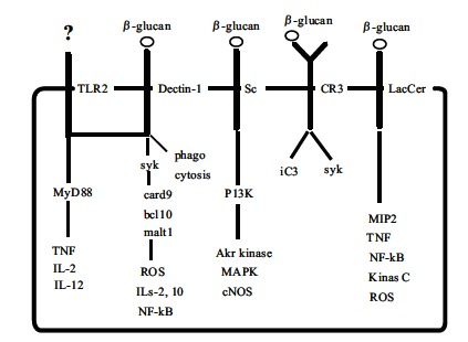 Fig. (3)