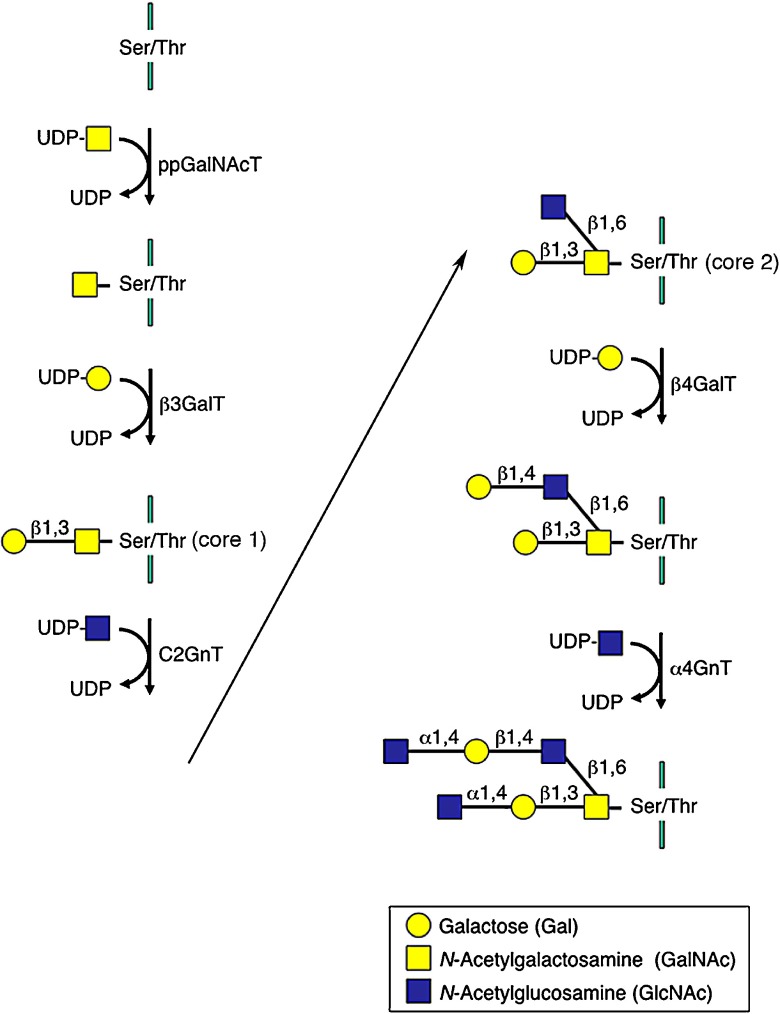 Fig. 3