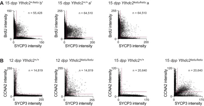 Figure 5—figure supplement 1.