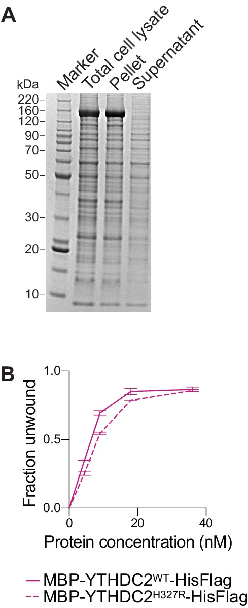 Figure 9—figure supplement 1.