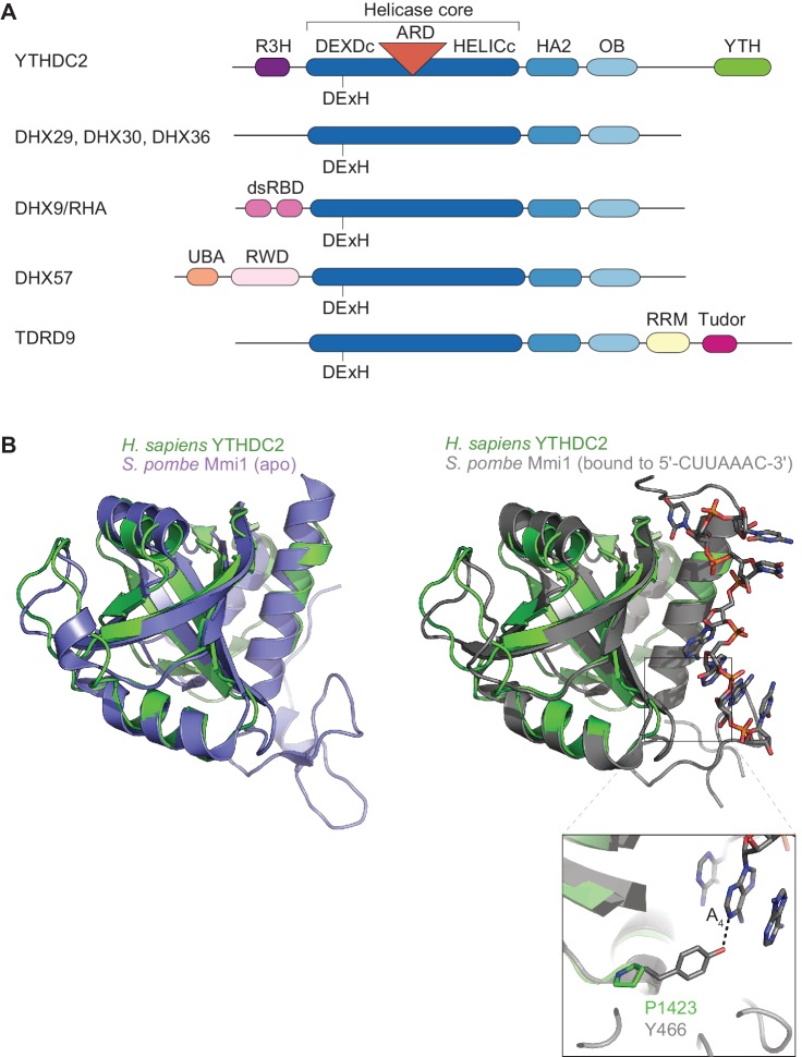 Figure 8—figure supplement 1.