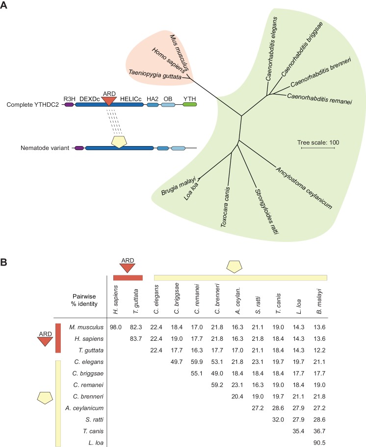 Figure 10—figure supplement 3.