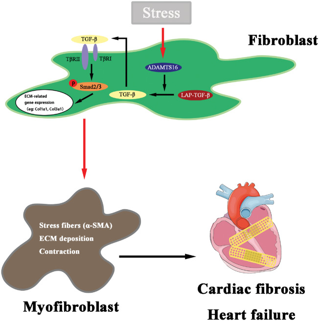 Graphical Abstract