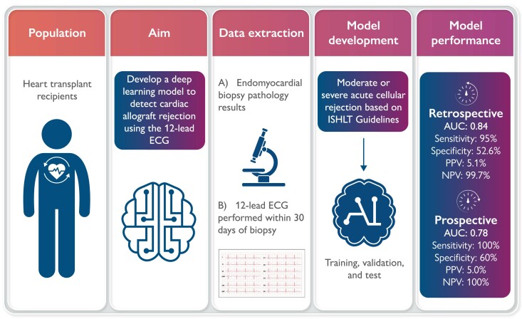 Graphical abstract