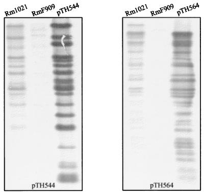FIG. 6