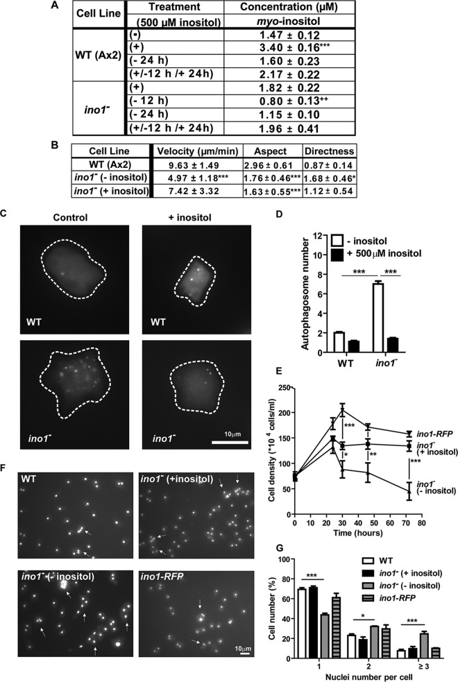 FIG 3